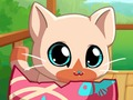 Xogo O meu gato gatiño de mascotas de peto en liña