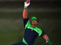 Xogo Cricket: Fielder's Challenge  en liña