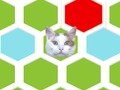 Xogo Trampa o gato  en liña