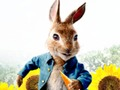 Xogo Peter Rabbit: Problemas no labirinto  en liña