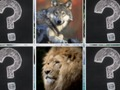 Xogo Memoria de animais na selva en liña