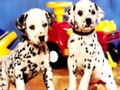 Xogo Rompecabezas de cachorros  en liña