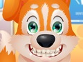 Xogo Lindo dentista de cadelas  en liña