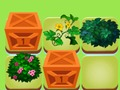 Xogo Fusión de plantas  en liña