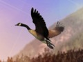 Xogo Cazador de patos  en liña