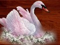 Xogo Puzzle de aves amor  en liña