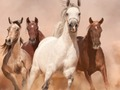 Xogo Puzzle de Cabalos  en liña