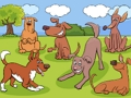 Xogo Diferenzas de animais  en liña