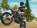 Xogo Endure Racing Enduro Racing  en liña