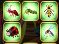 Xogo Combate de insectos  en liña