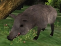 Xogo Xigsaw Hunting Jigsaw  en liña