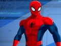 Xogo Spiderman Kill Zombies en liña