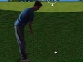 Xogo Flash Golf 3D  en liña
