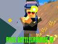 Xogo Pixel Battlegrounds. IO  en liña