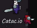 Xogo Catac. io  en liña