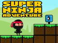 Xogo Super Adventure Ninja en liña