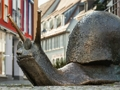 Xogo Escultura Caracol Jigsaw  en liña