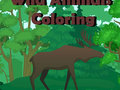 Xogo Para colorear animais salvaxes  en liña