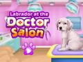 Xogo Labrador no salón médico  en liña