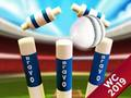 Xogo Mini Cricket: Copa do Mundo do Campionato Ground 2019 en liña