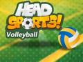Xogo Head Sports Voleibol  en liña