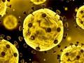 Xogo Diapositiva Coronavirus  en liña