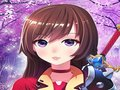 Xogo Vestido de fantasía de anime girl en liña