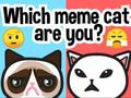 Xogo Que gato meme eres?  en liña