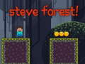 Xogo Steve Forest en liña