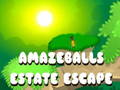 Xogo Amazeballs Estate Escape en liña