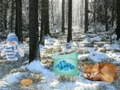 Xogo Aventura do bosque de marabillas do inverno en liña