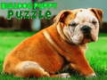 Xogo Puzzle Bulldog Puppy  en liña