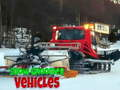 Xogo Vehículos de acondicionamento de neve  en liña