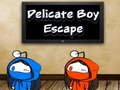 Xogo Delicada Boy Escape  en liña