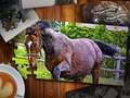 Xogo Jigsaw Puzzle Edición Caballos  en liña