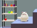 Xogo Gato dual de Schrödinger  en liña