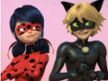 Xogo Crebacabezas de Miraculous Ladybug e Cat Noir  en liña