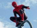 Xogo Guerreiro araña  en liña
