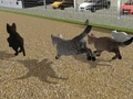 Xogo Corre a carreira de gatos  en liña