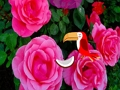 Xogo Fuga de rosas preciosas en liña