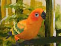 Xogo Bonito puzzle Budgie  en liña