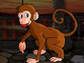 Xogo Escape Diminutivo Macaque  en liña