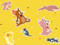 Xogo O programa de Tom e Jerry ¡Atópao!  en liña