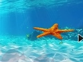 Xogo Escape de estrelas de mar submarinas en liña