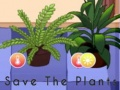 Xogo Salva as plantas  en liña