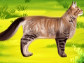Xogo Odontólogo gato mascota  en liña
