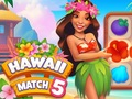 Xogo Partido de Hawaii 5 en liña