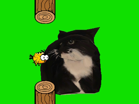 Xogo Flappy Bird Spinning oia oia gato  en liña