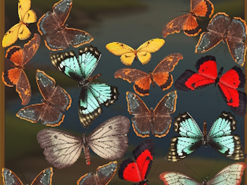 Xogo Mergebuterfly: 2048! en liña