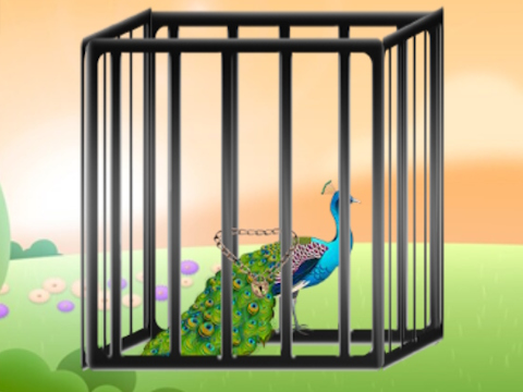 Xogo Rescatar o pavo real radiante  en liña